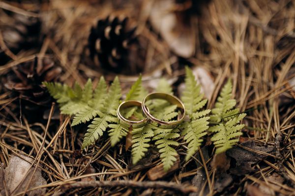 Forest Romance